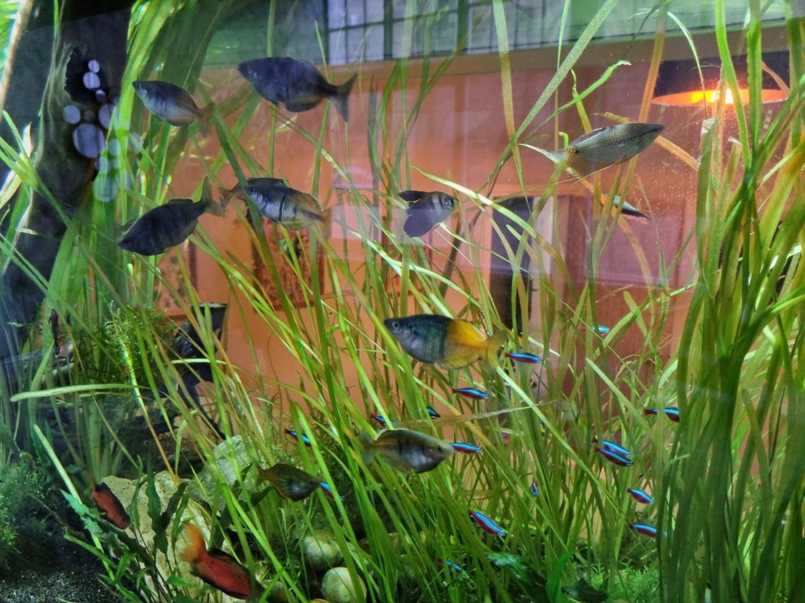 ザ レゾリューション ホテル ウィットビー エクステリア 写真